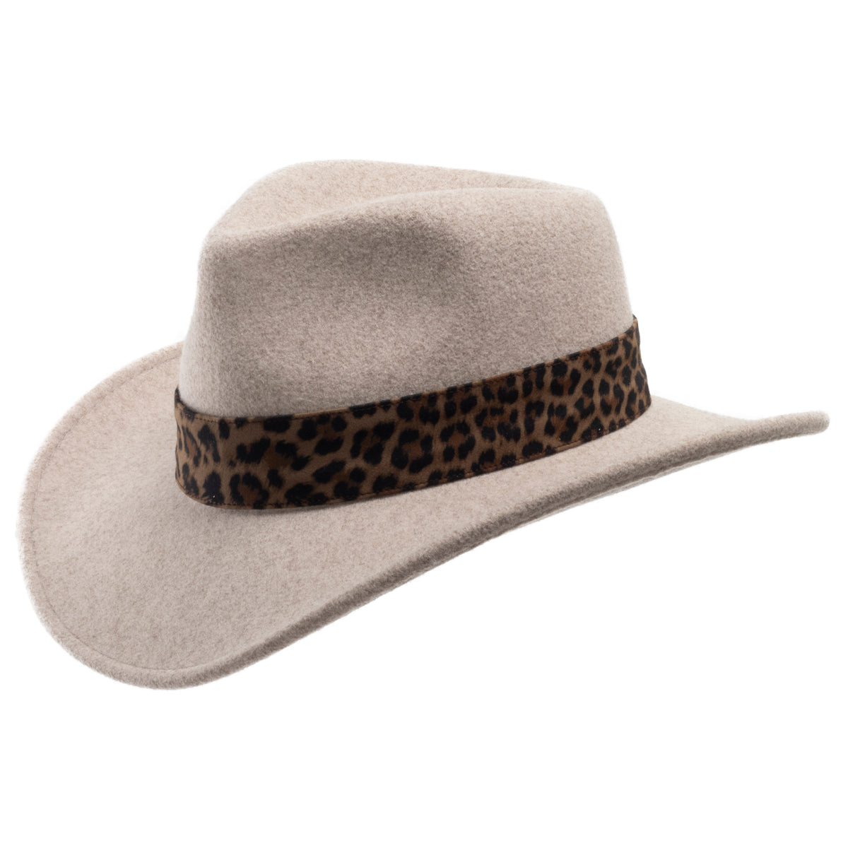 Safari