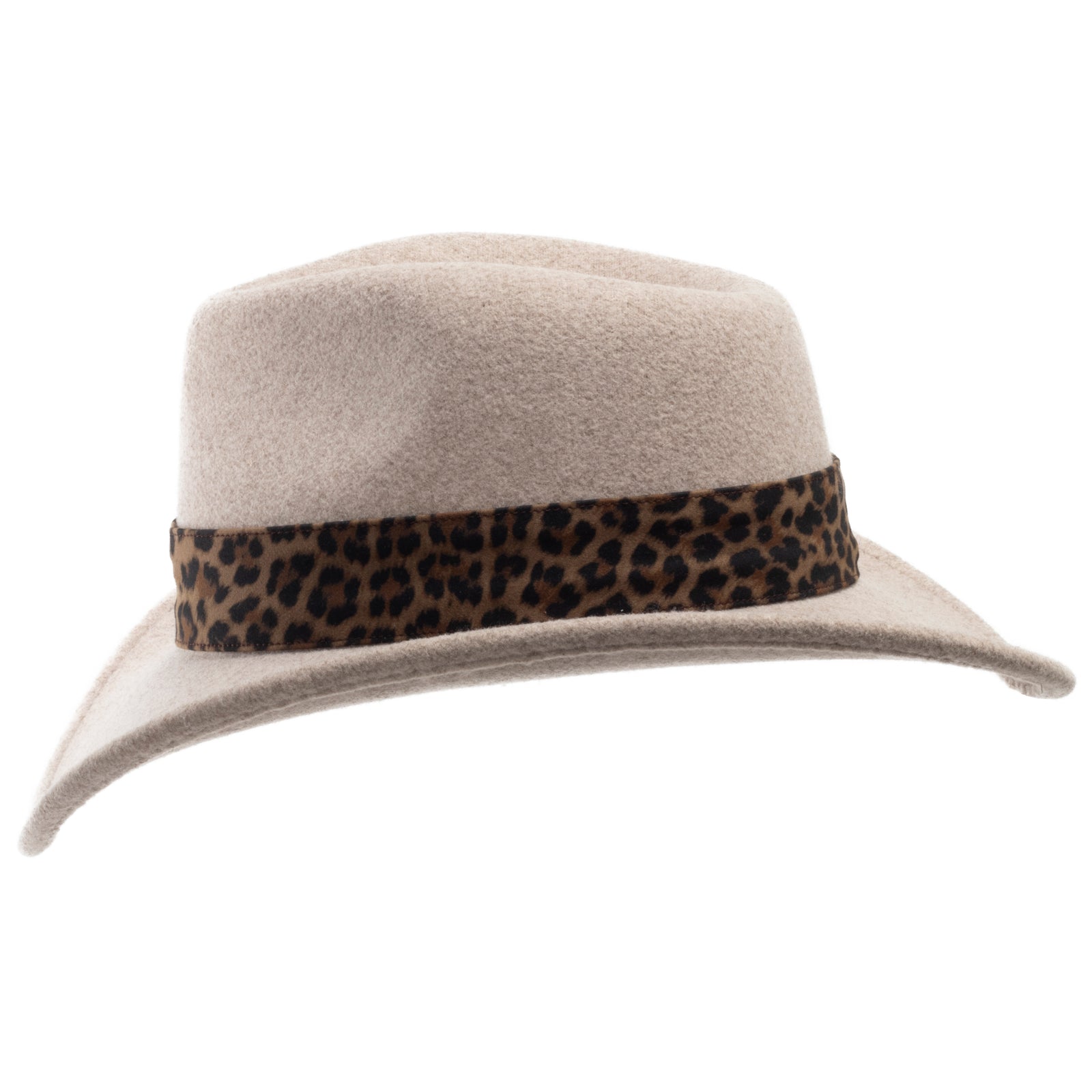 Safari