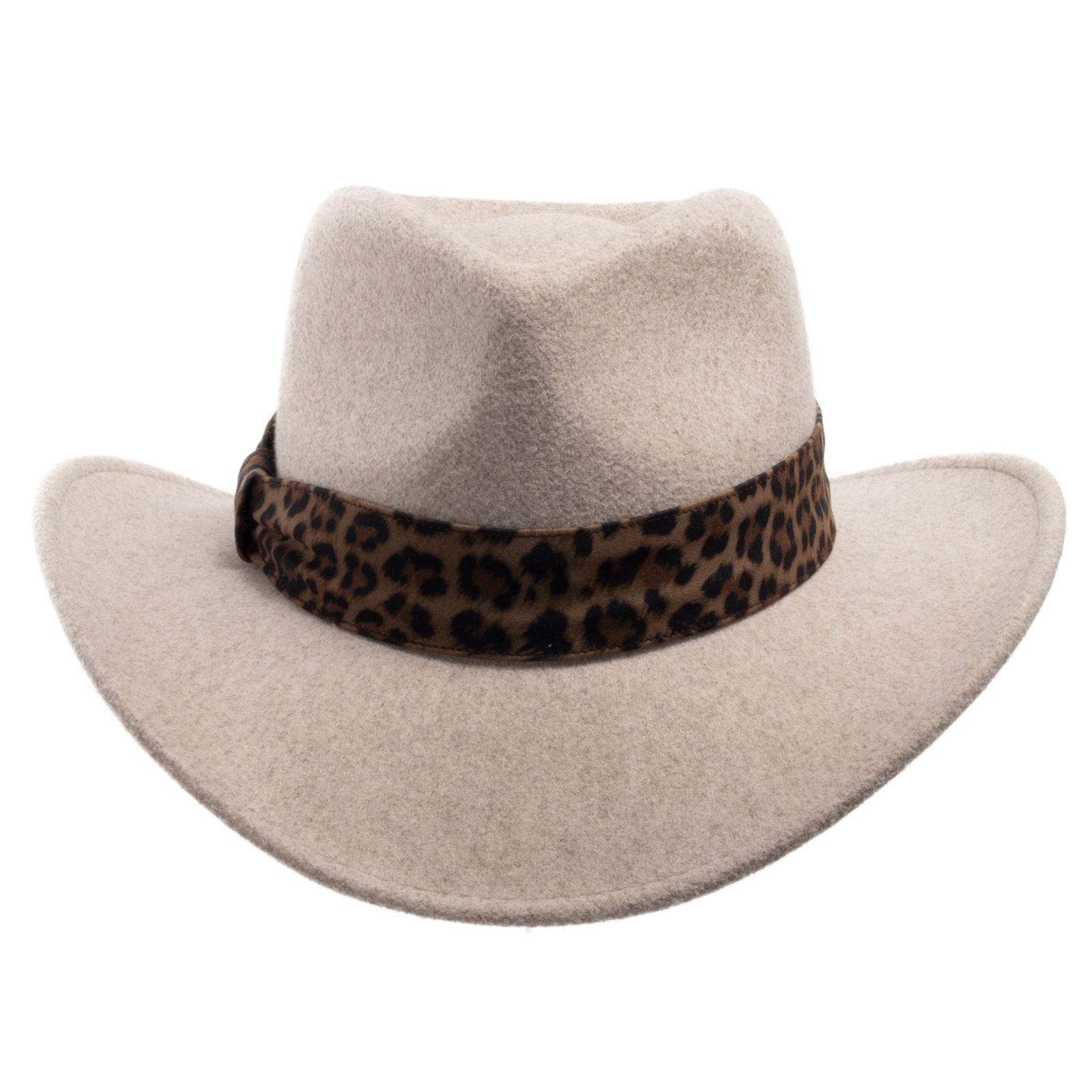 Safari