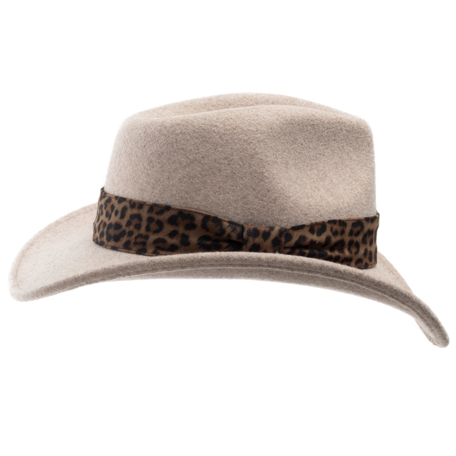 Safari