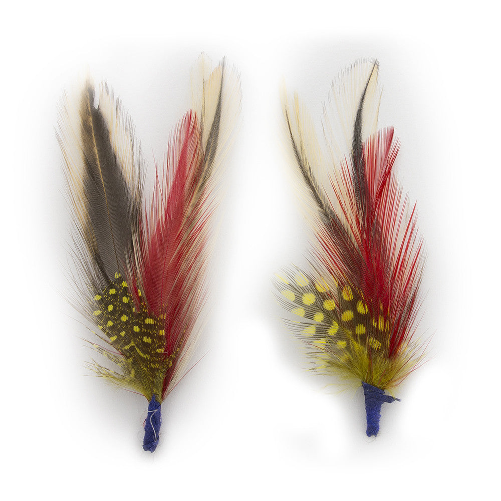 Paul Lashton Exotic Bird Feathers