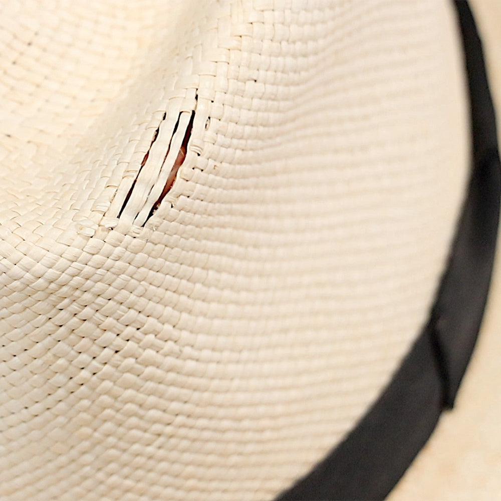 Inserts de couronne Paul Lashton Protect & Repair avec support adhésif