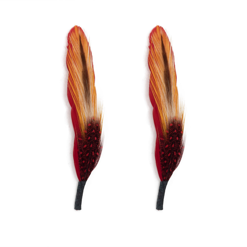 セール！ Feather and Brush：オーストラリア鳥類芸術300年 セール！ Feather and Brush：オーストラリア鳥類芸術300年