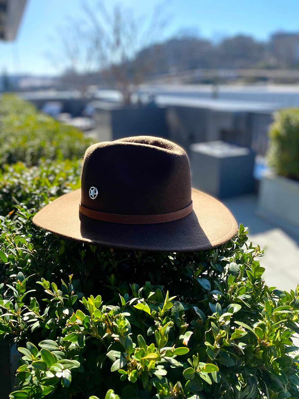 Chapeau feutre de laine FEDORA | Chapeaux FEDORA mixte marron brun Chapeau feutre de laine FEDORA | Chapeaux FEDORA mixte marron brun